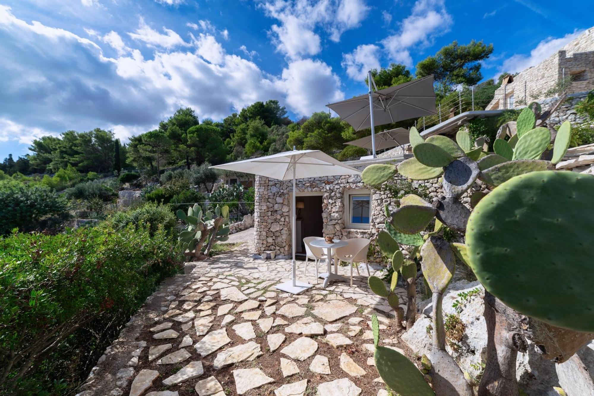 Guest house La Casa Del Fico